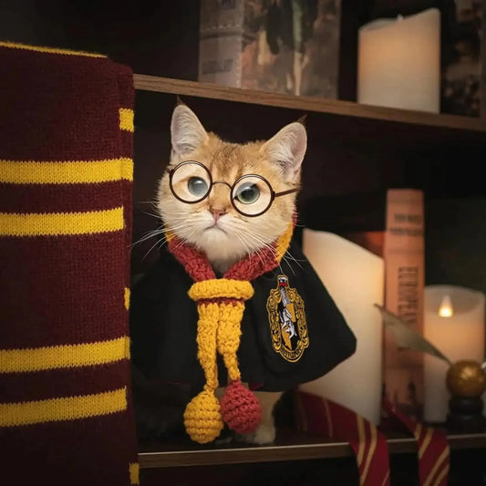 Purr-gwarts Magic Cloak - SwagPets