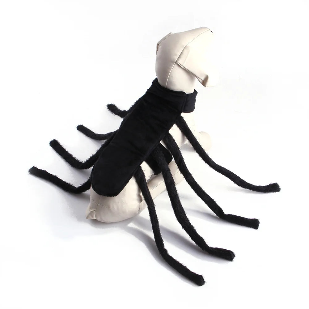 Web Walker