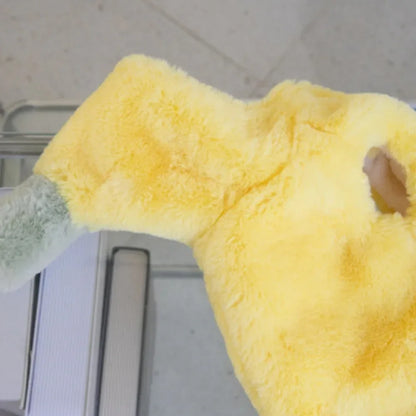 Cutie Fruit Pup - SwagPets 