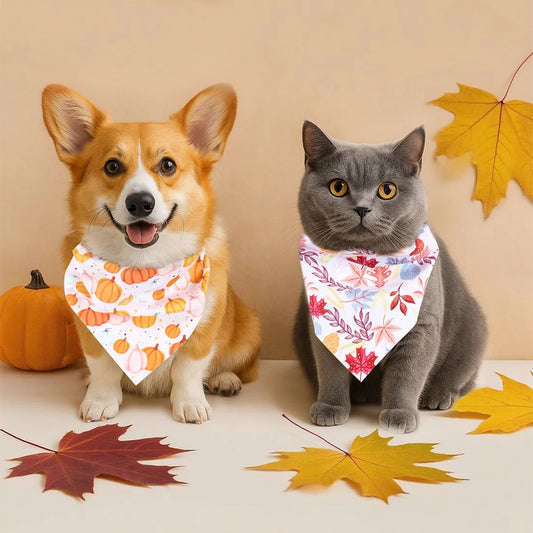 Precious Pumpkin Bandanas
