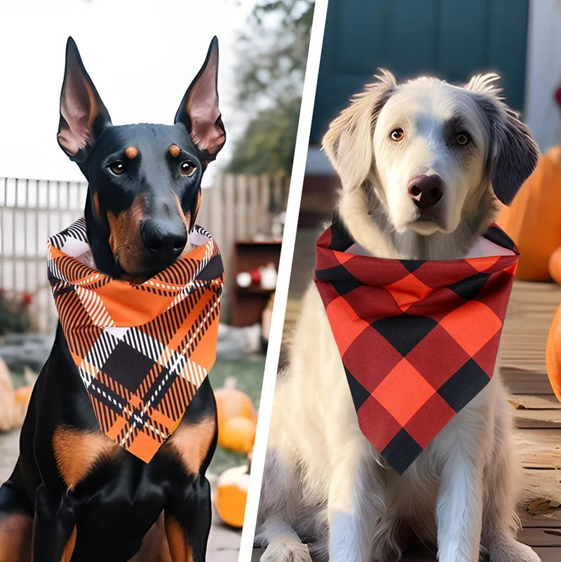 Precious Pumpkin Bandanas