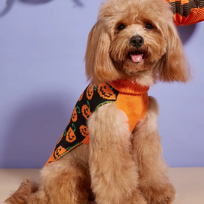Pumpkin Paws Turtleneck Sweater - SwagPets 