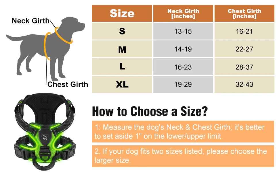 GlowPup LED Harness