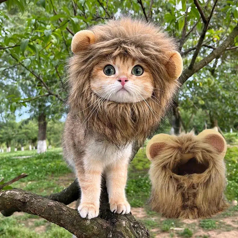 Roar & Purr