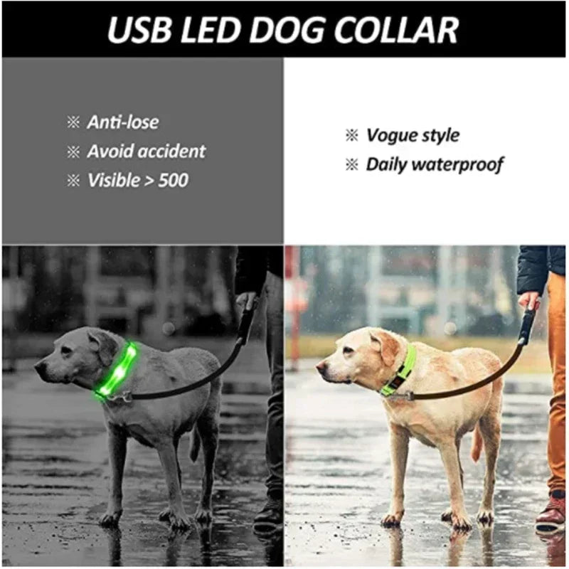 GlowPup LED Collar