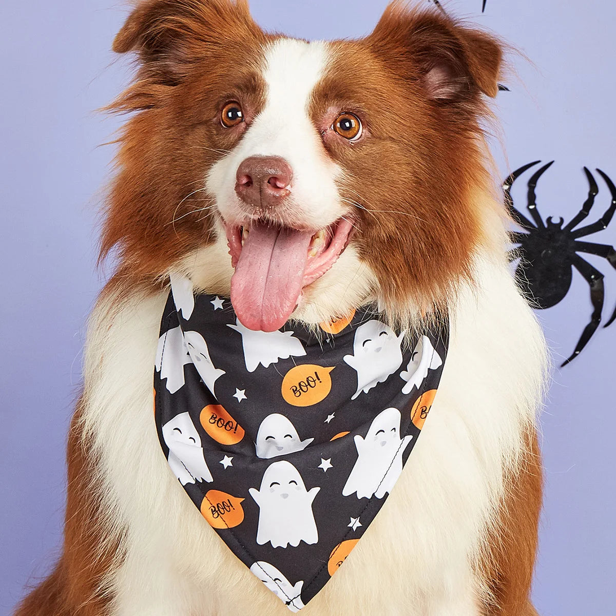 Reversible Howl-o-ween Bandanas - SwagPets 