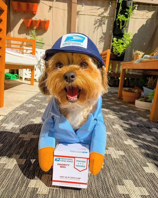 Furry Express
