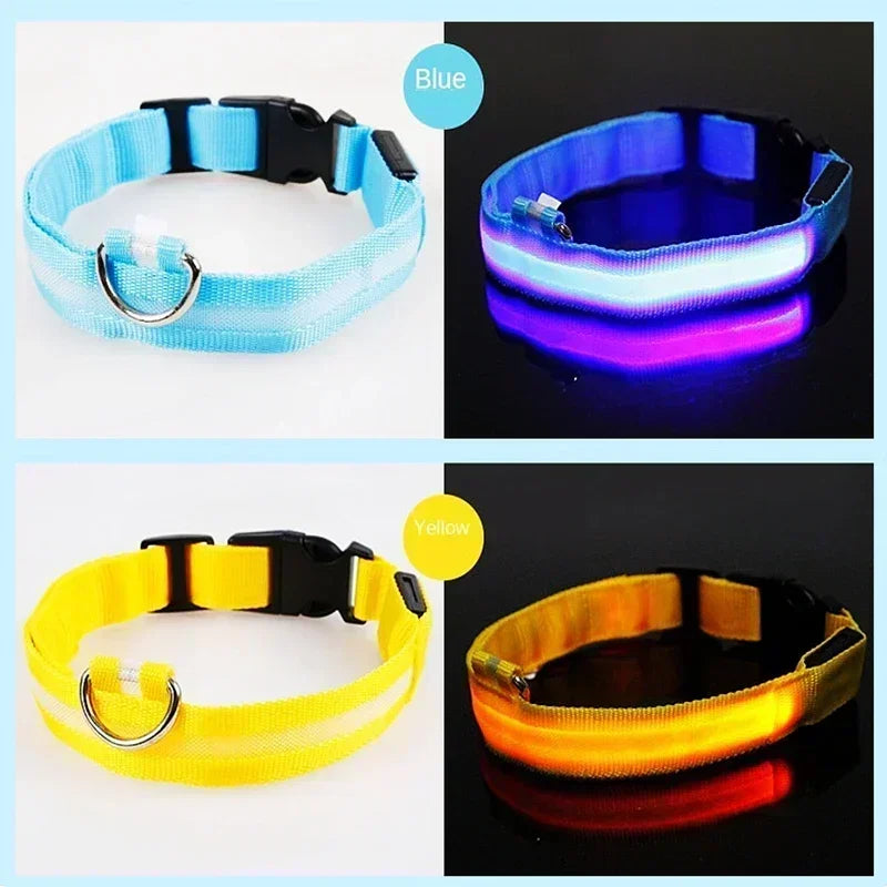 GlowPup LED Collar