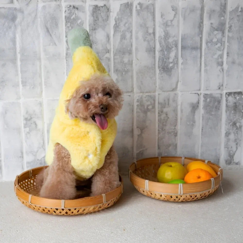 Cutie Fruit Pup