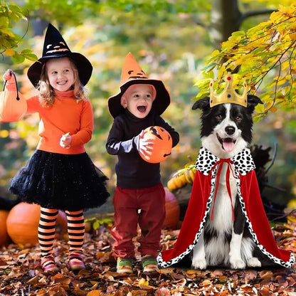 Royal Paws Cloak & Crown - SwagPets 