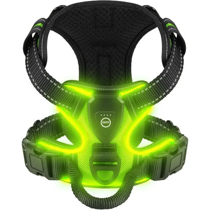 GlowPup LED Harness - SwagPets 