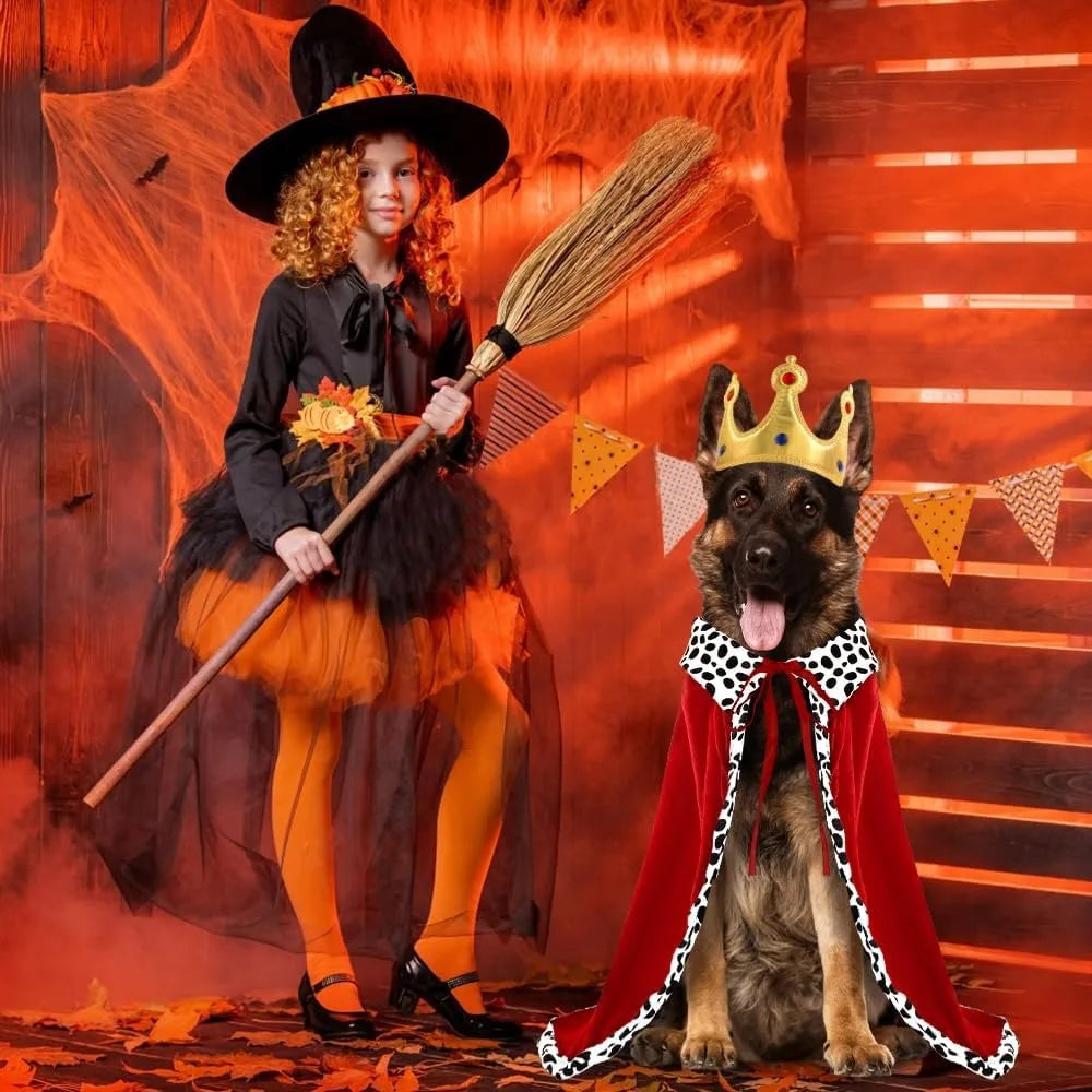 Royal Paws Cloak & Crown