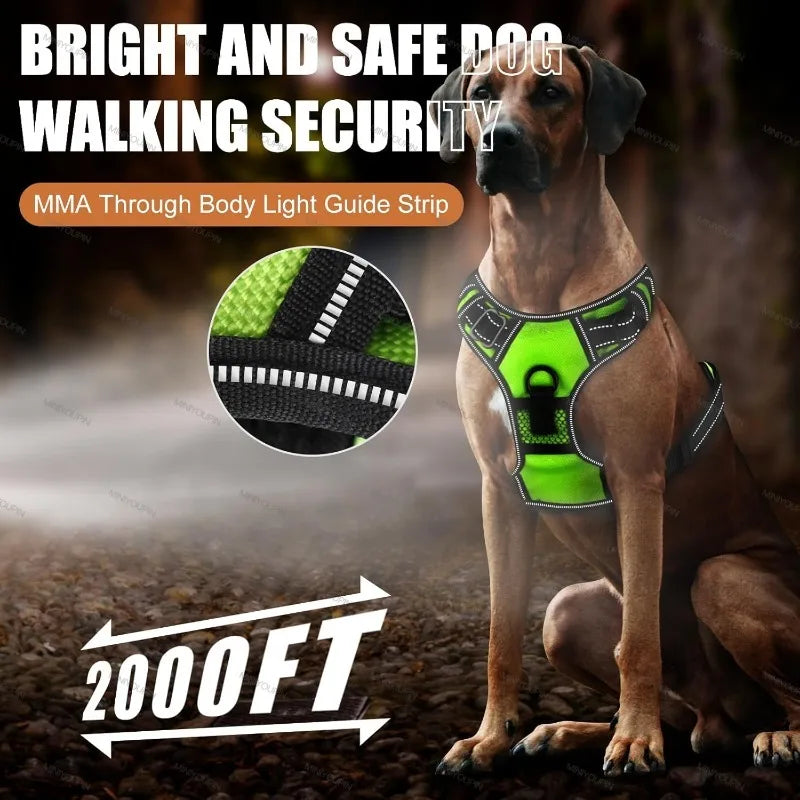 GlowPup LED Harness