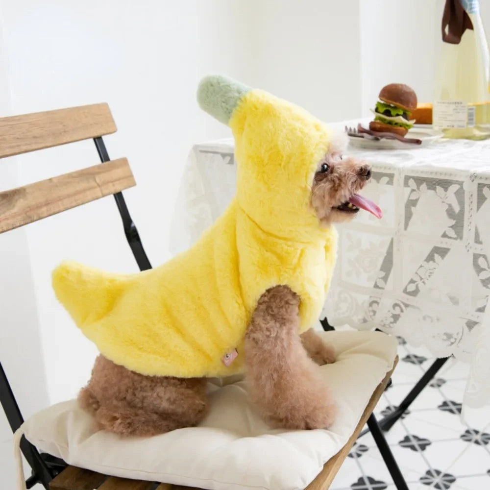 Cutie Fruit Pup