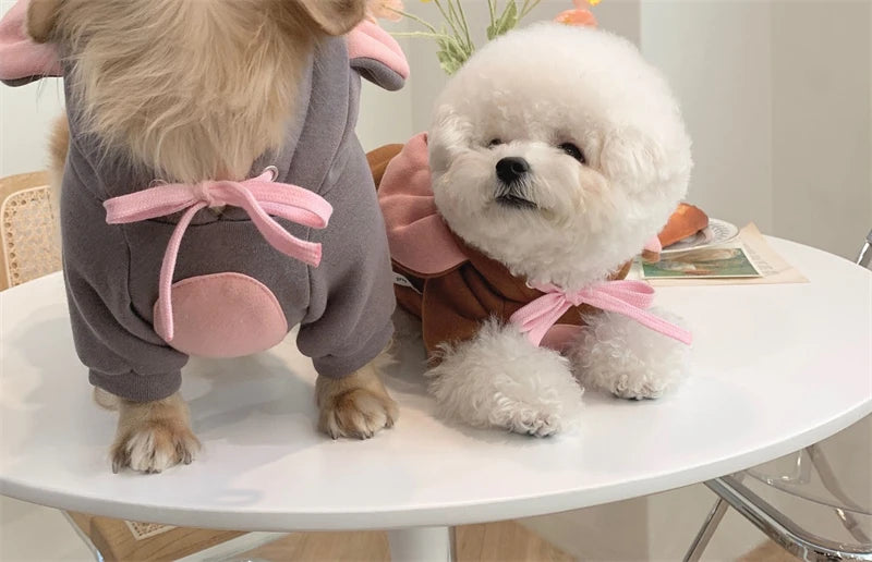 ZooCrew™ Pet Outfits for Cats & Dogs