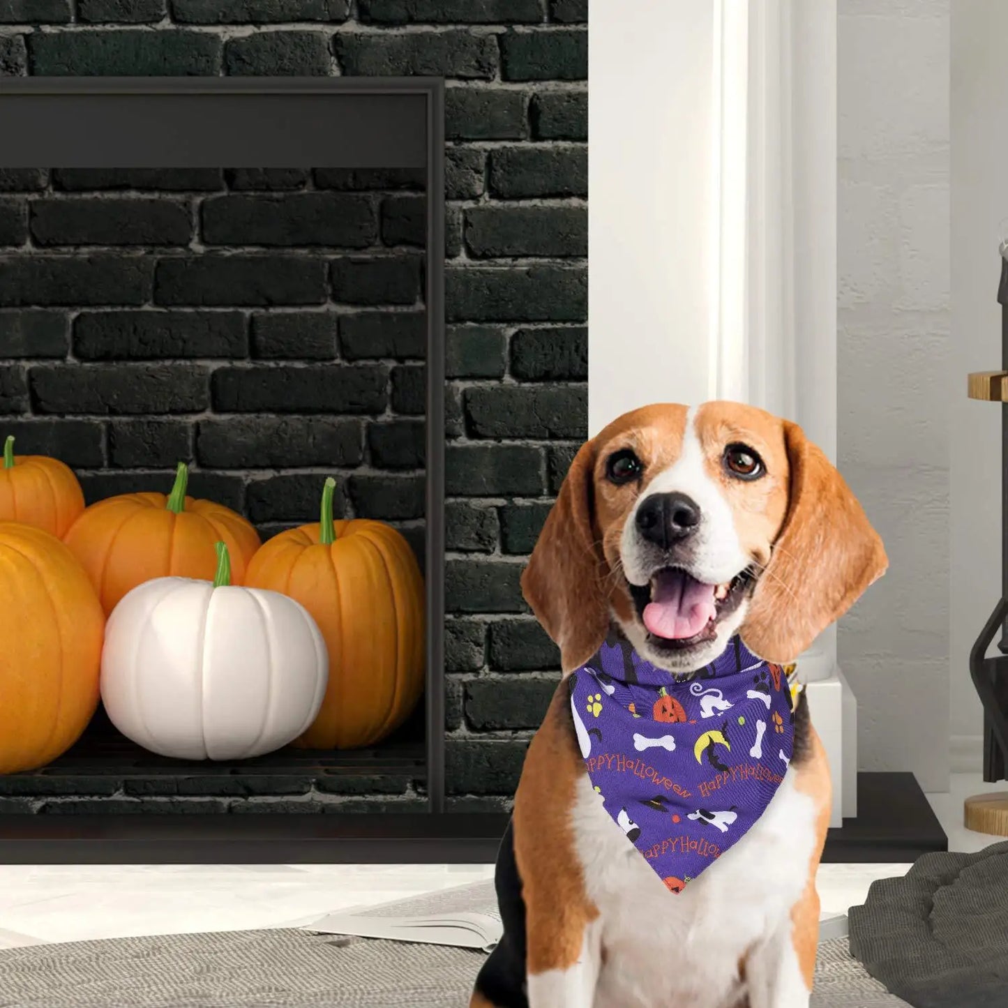 Spooky Paws Bandana