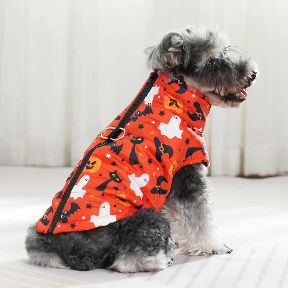 Fang-tastic Fall Jacket