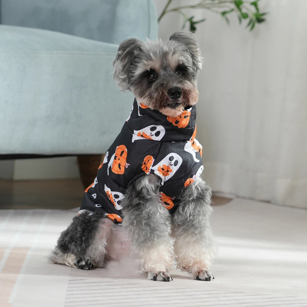 Fang-tastic Fall Jacket
