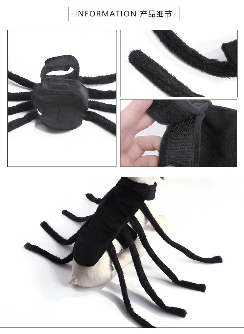 Web Walker