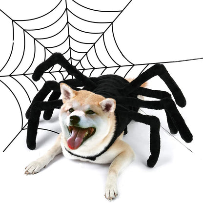 Web Walker - SwagPets 