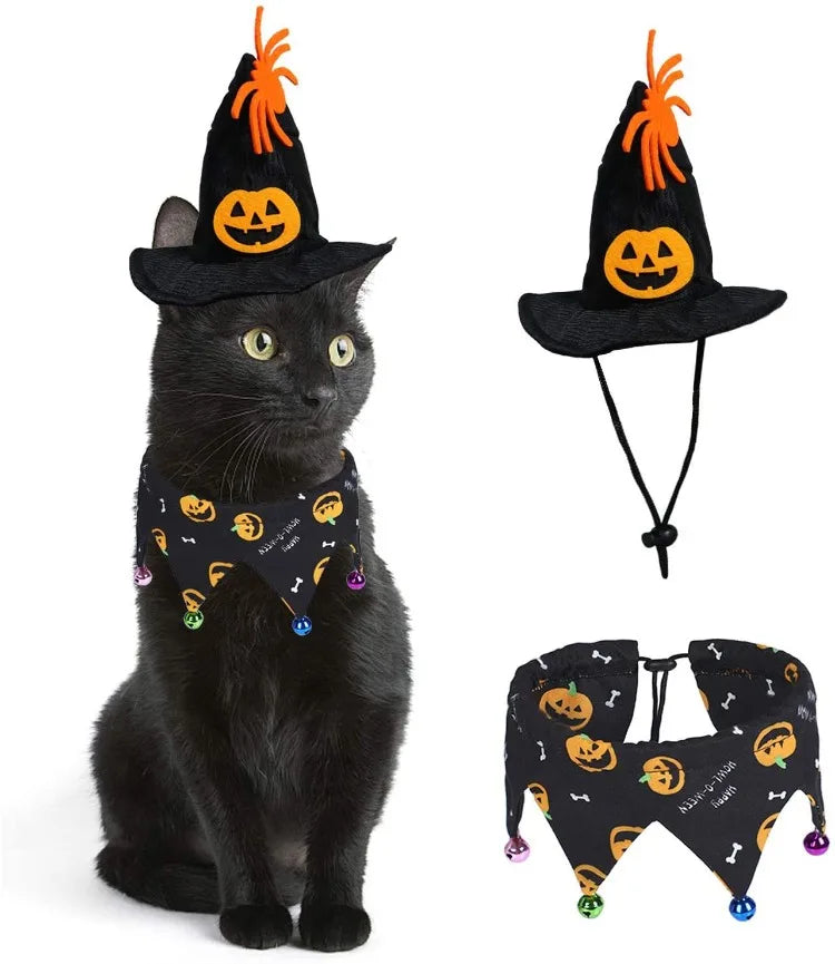 Pumpkin Jack-o'-Paws