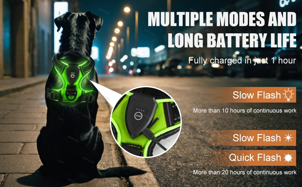 GlowPup LED Harness
