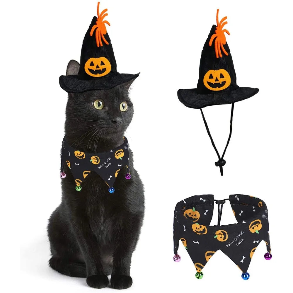 Pumpkin Jack-o'-Paws