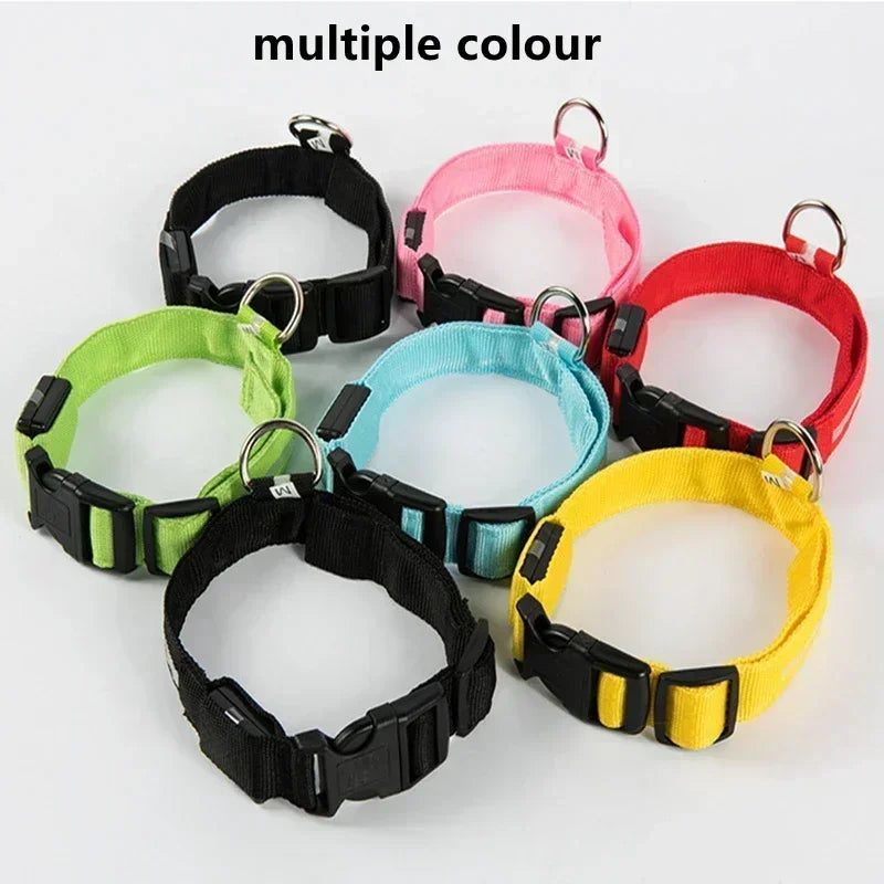GlowPup LED Collar