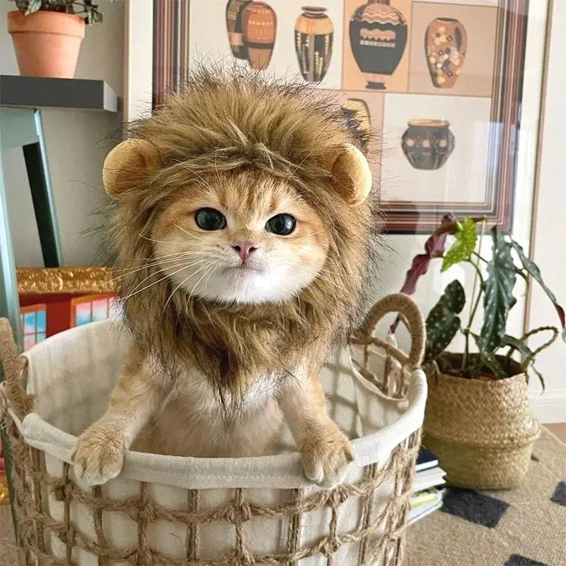 Roar & Purr