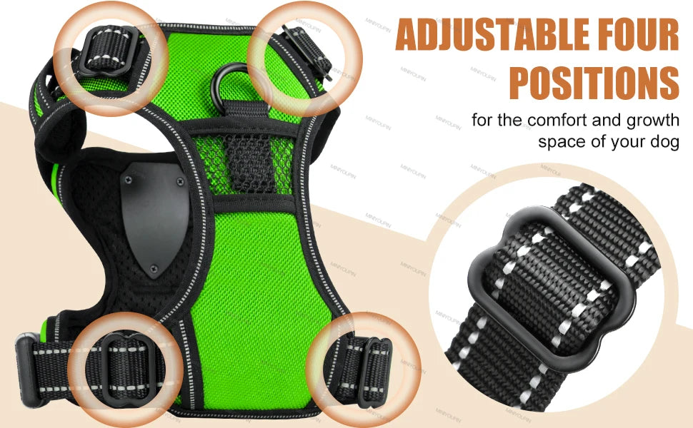 GlowPup LED Harness