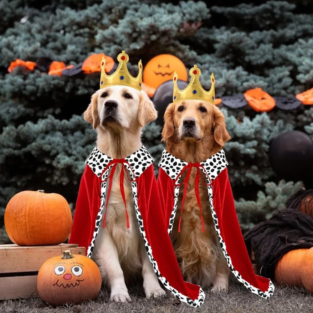 Royal Paws Cloak & Crown