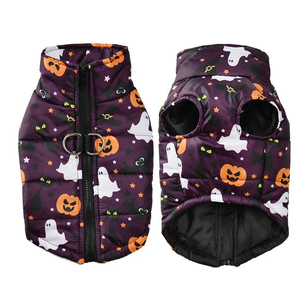 Fang-tastic Fall Jacket