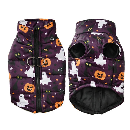 Fang-tastic Fall Jacket - SwagPets 