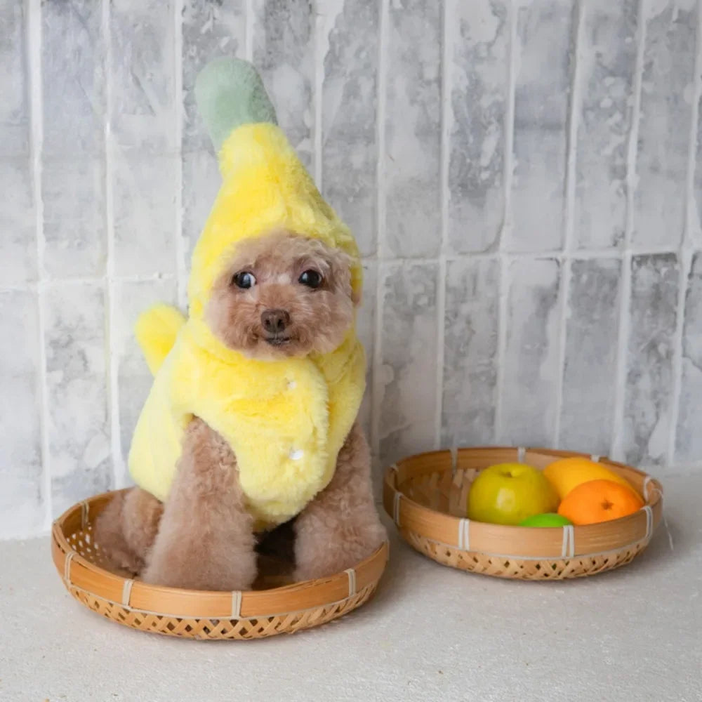 Cutie Fruit Pup