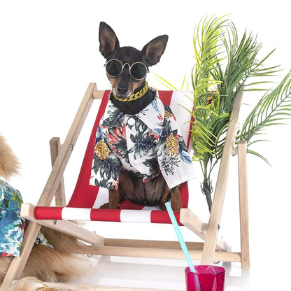 Blingy Paws Gold Chain - SwagPets 