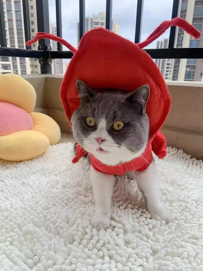 Lobster Paws - SwagPets 