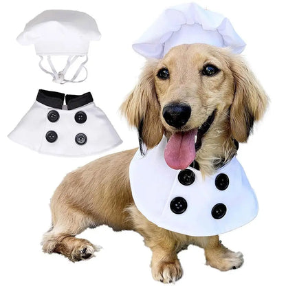 Chef Cutie - SwagPets 