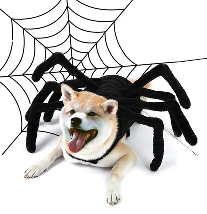 Web Walker - SwagPets 
