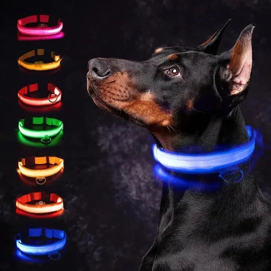 GlowPup LED Collar