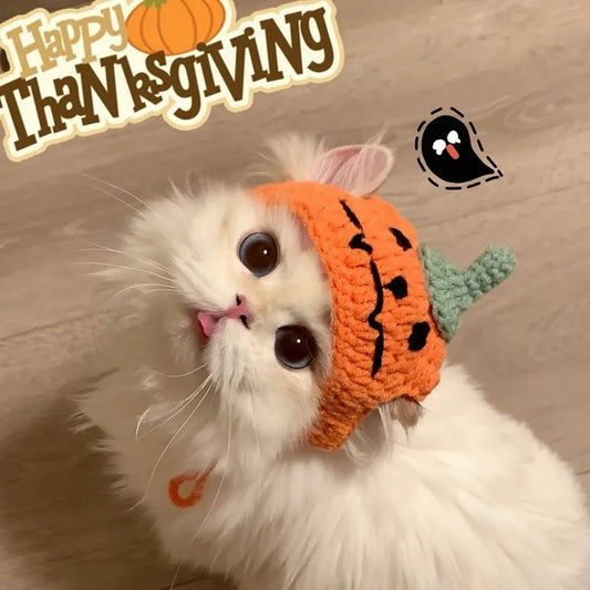 Cute Little Pumpkin Hat & Neck Puffs
