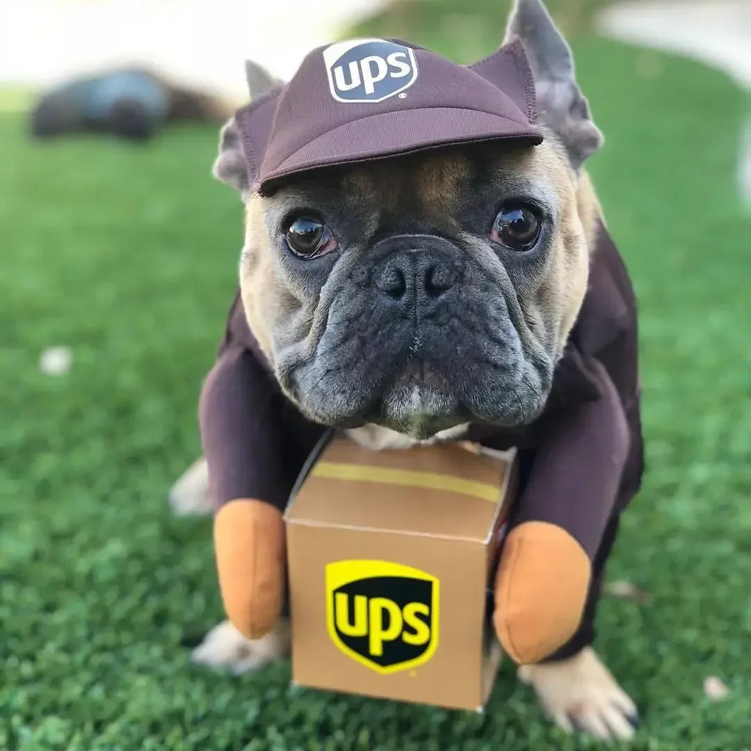 Furry Express