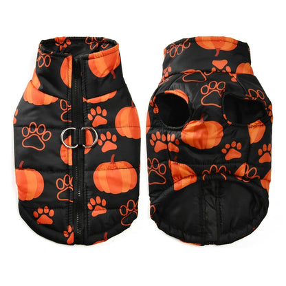 Fang-tastic Fall Jacket - SwagPets 