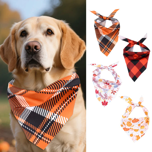Precious Pumpkin Bandanas