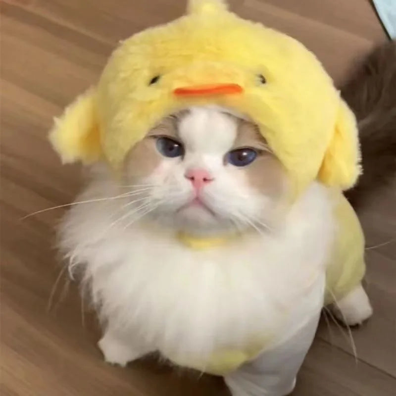 Cuddle Critter Caps