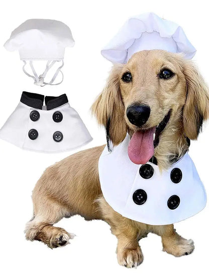 Chef Cutie - SwagPets 
