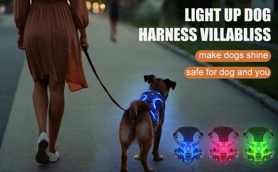 GlowPup LED Harness