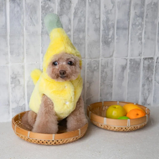 Cutie Fruit Pup