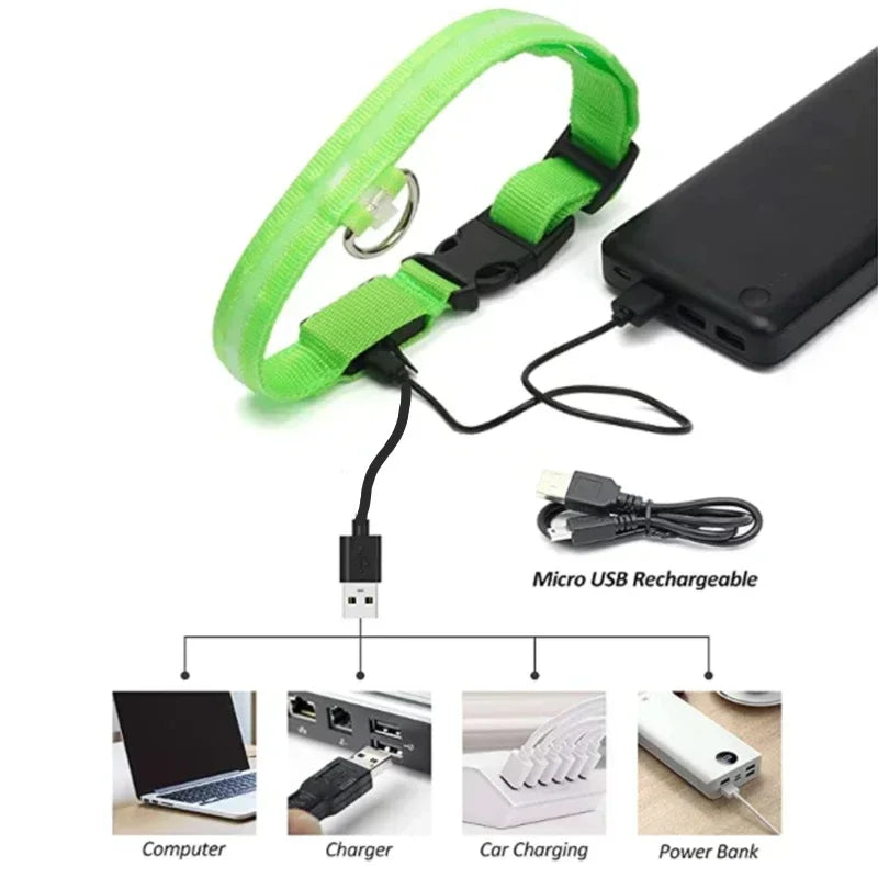 GlowPup LED Collar