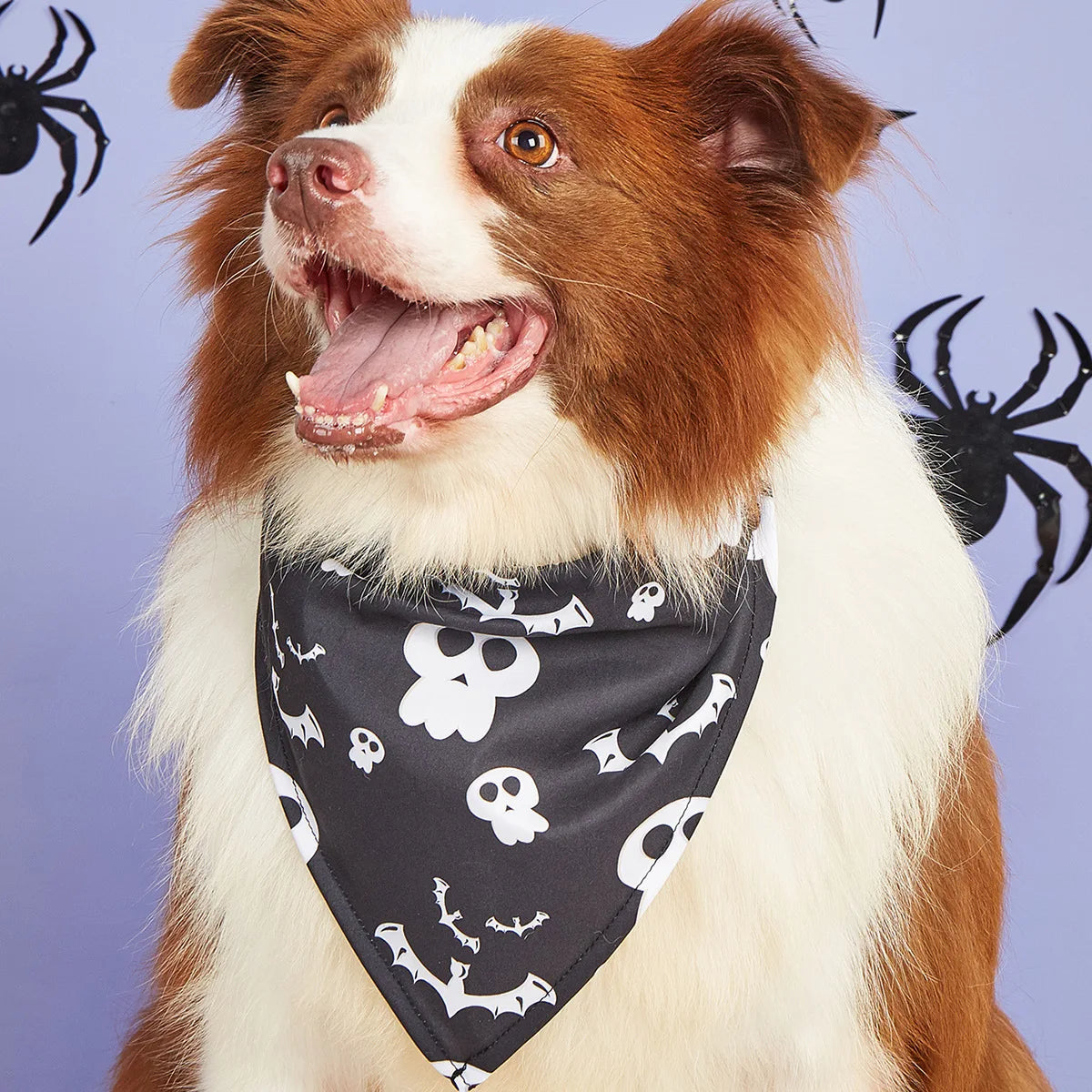 Reversible Howl-o-ween Bandanas - SwagPets 
