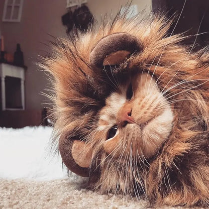 Roar & Purr - SwagPets 